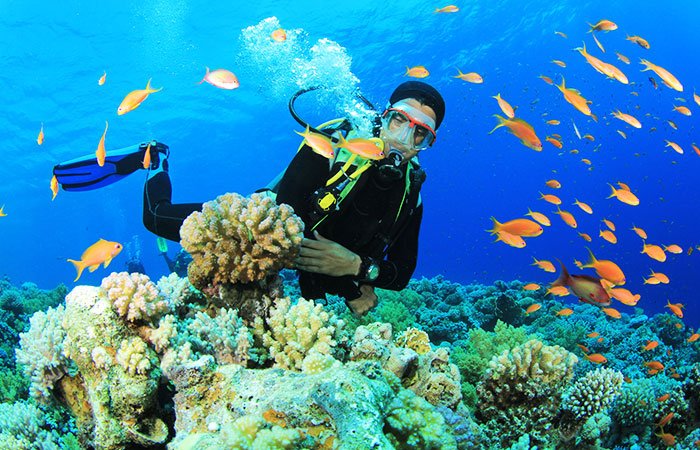 scuba diving hikkaduwa